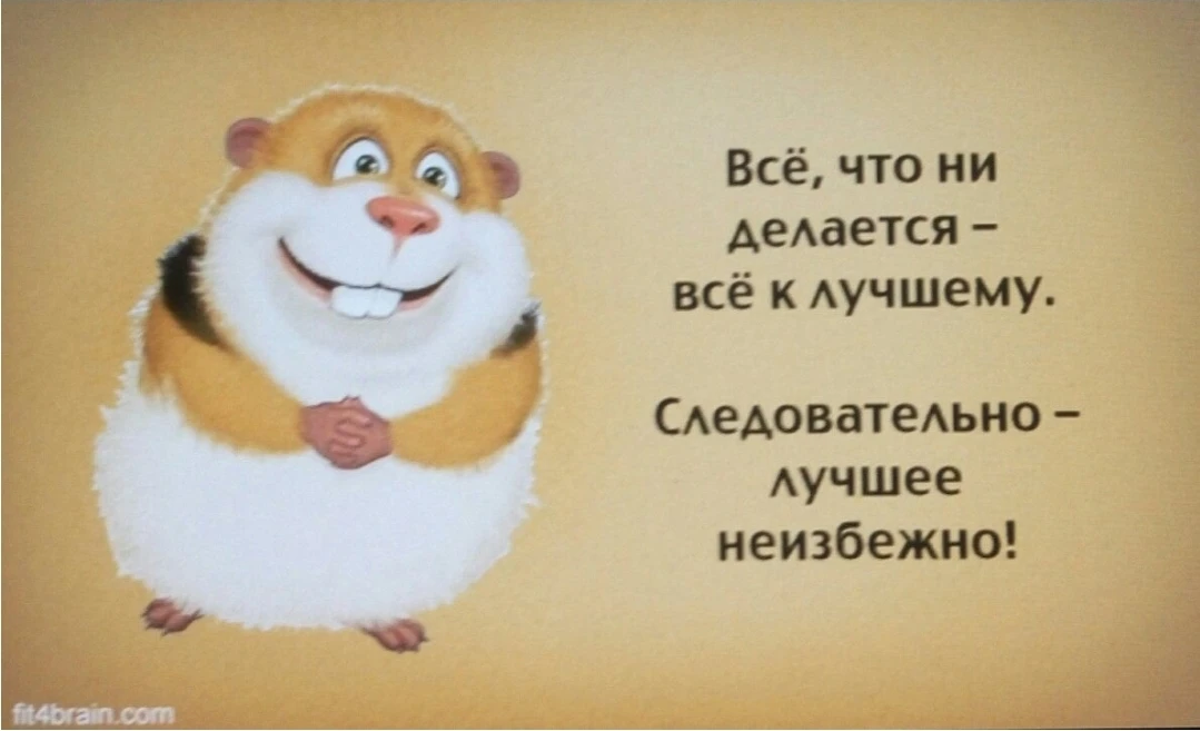 #среда_позитива