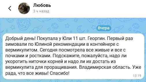 📎Я высаживаю георгины в открытый грунт после последнего возвратного заморозка. Конкрет...