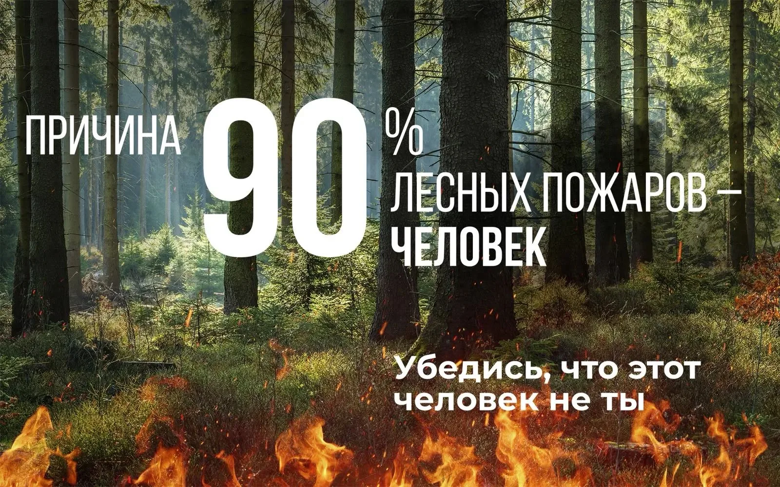 На опережение стихии: профилактика и борьба с лесными пожарами
На сегодня особый противопожарный сез