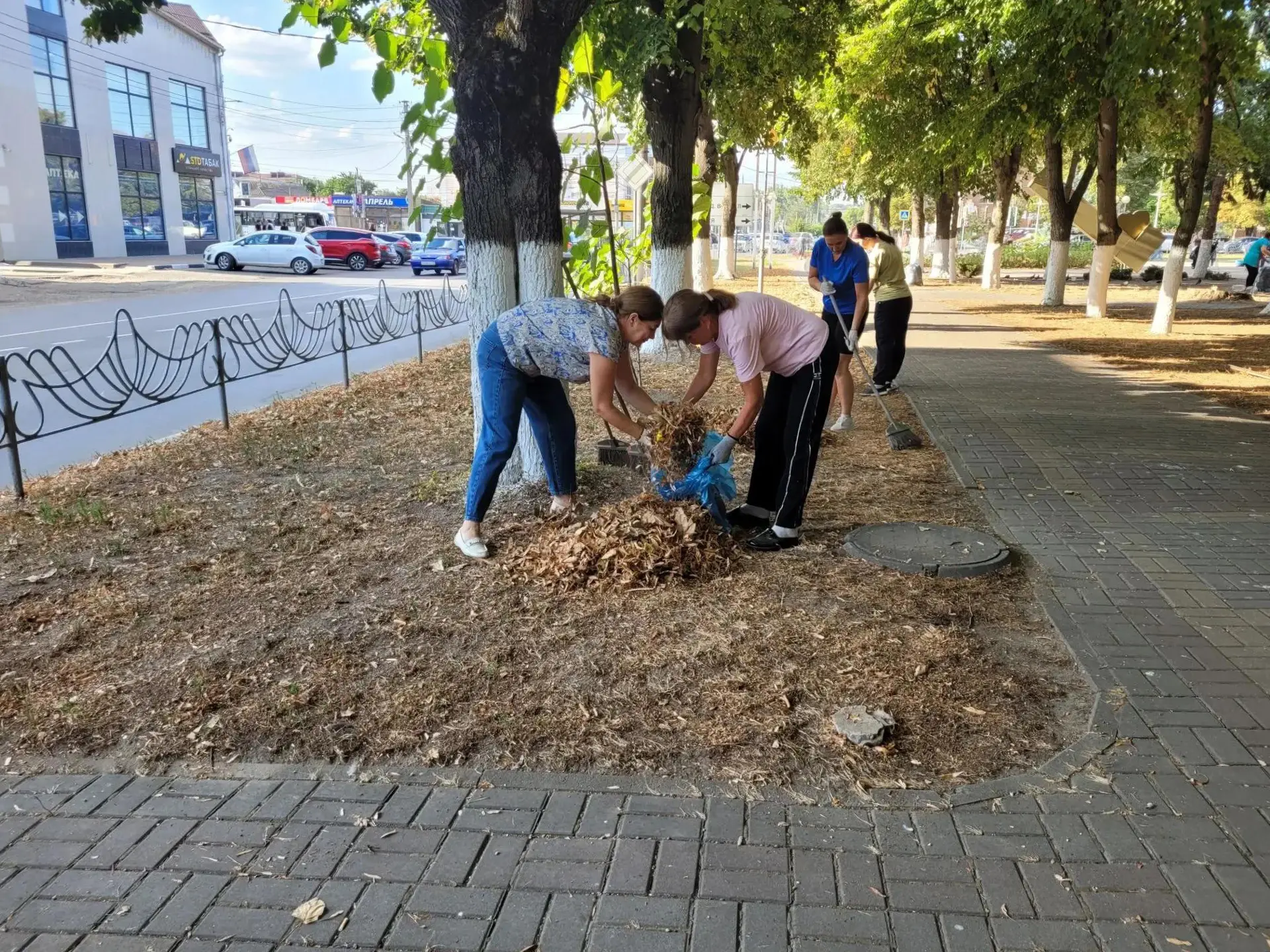 У Центральной городской библиотеки им. А.В. Луначарского и детской библиотеки им. А.П. ...