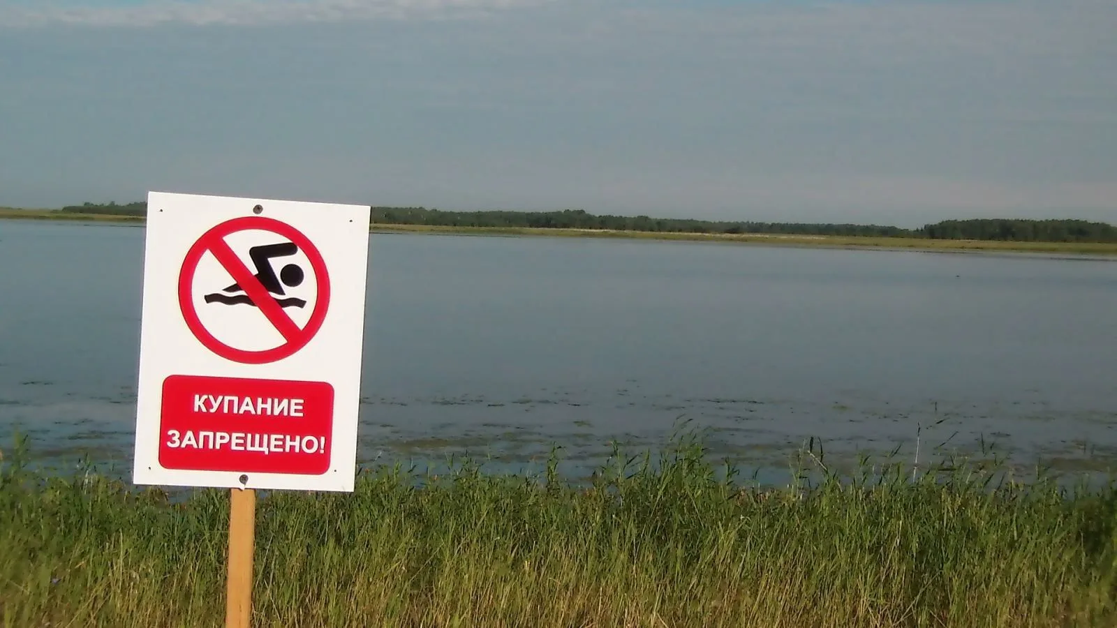 «Купаться запрещено» — это не просто табличка, а предупреждение
Наличие на берегу водоема знака «Куп