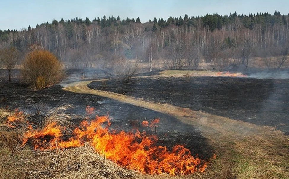 Не жгите сухую траву — это опасно!