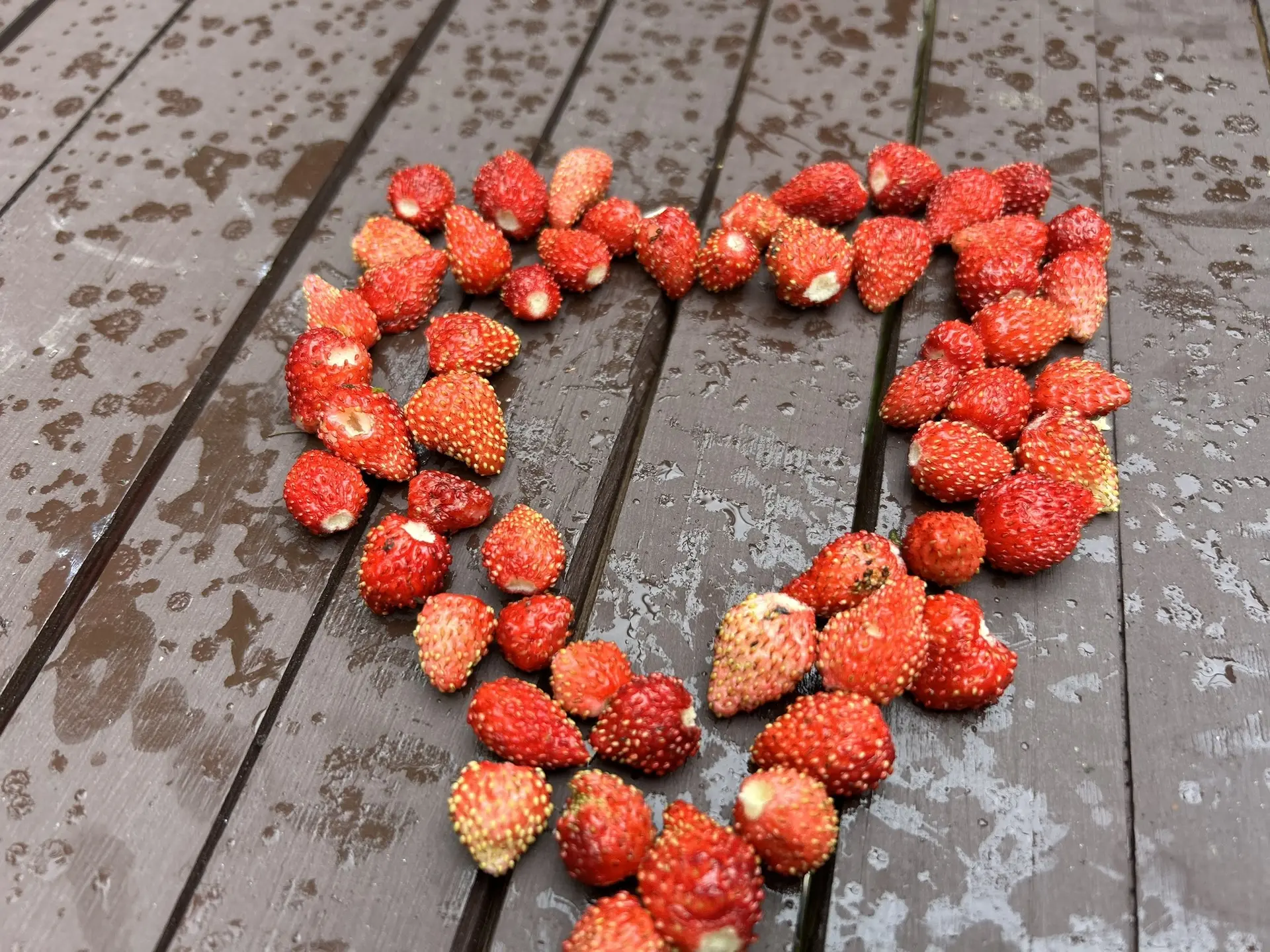 🍓Второй урожай собран — и с особой любовью!
На этот раз угостили наших замечательных сотрудников. �