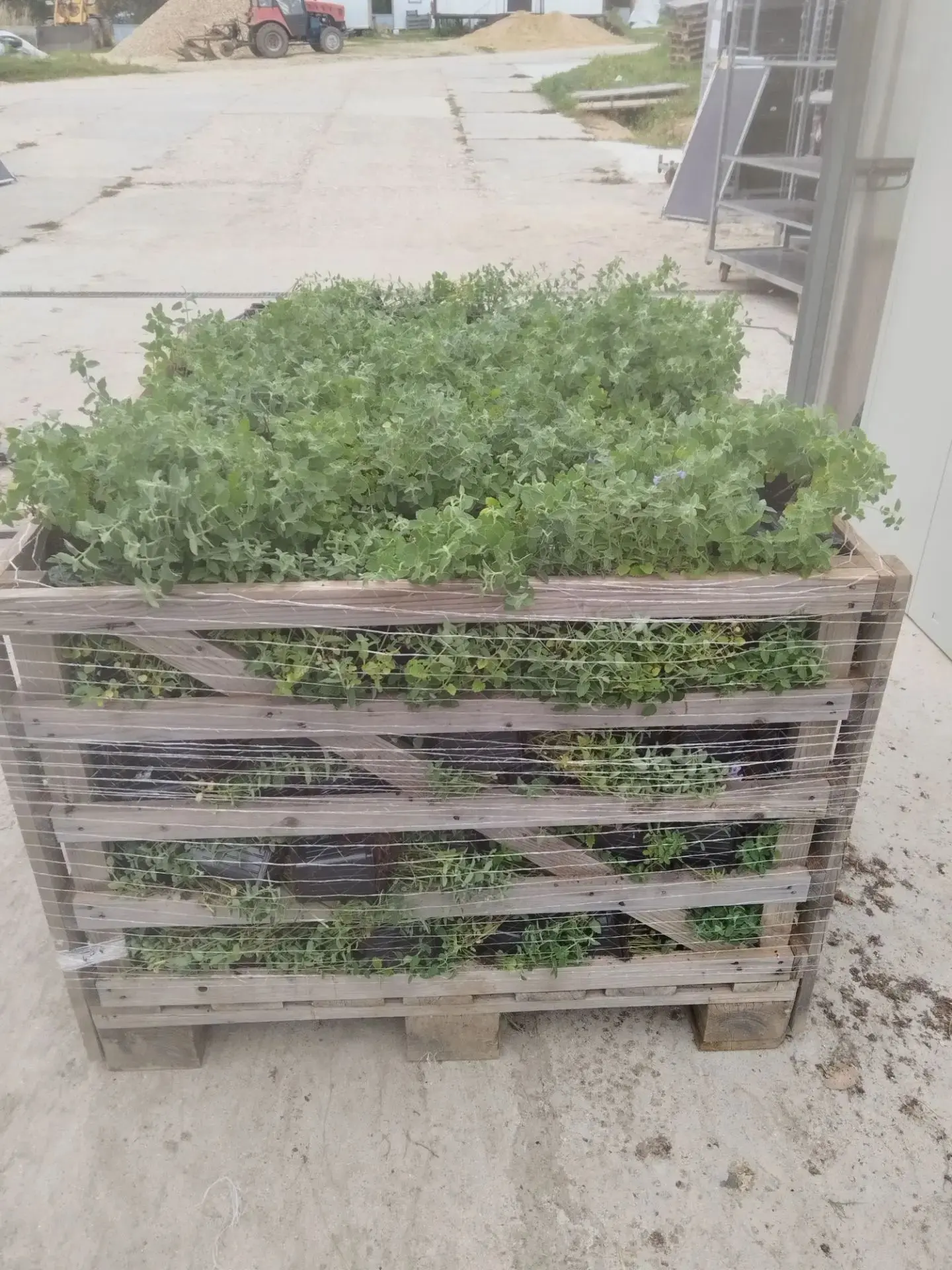 Осень радует погодой — продолжаем активно отгружаться🌿