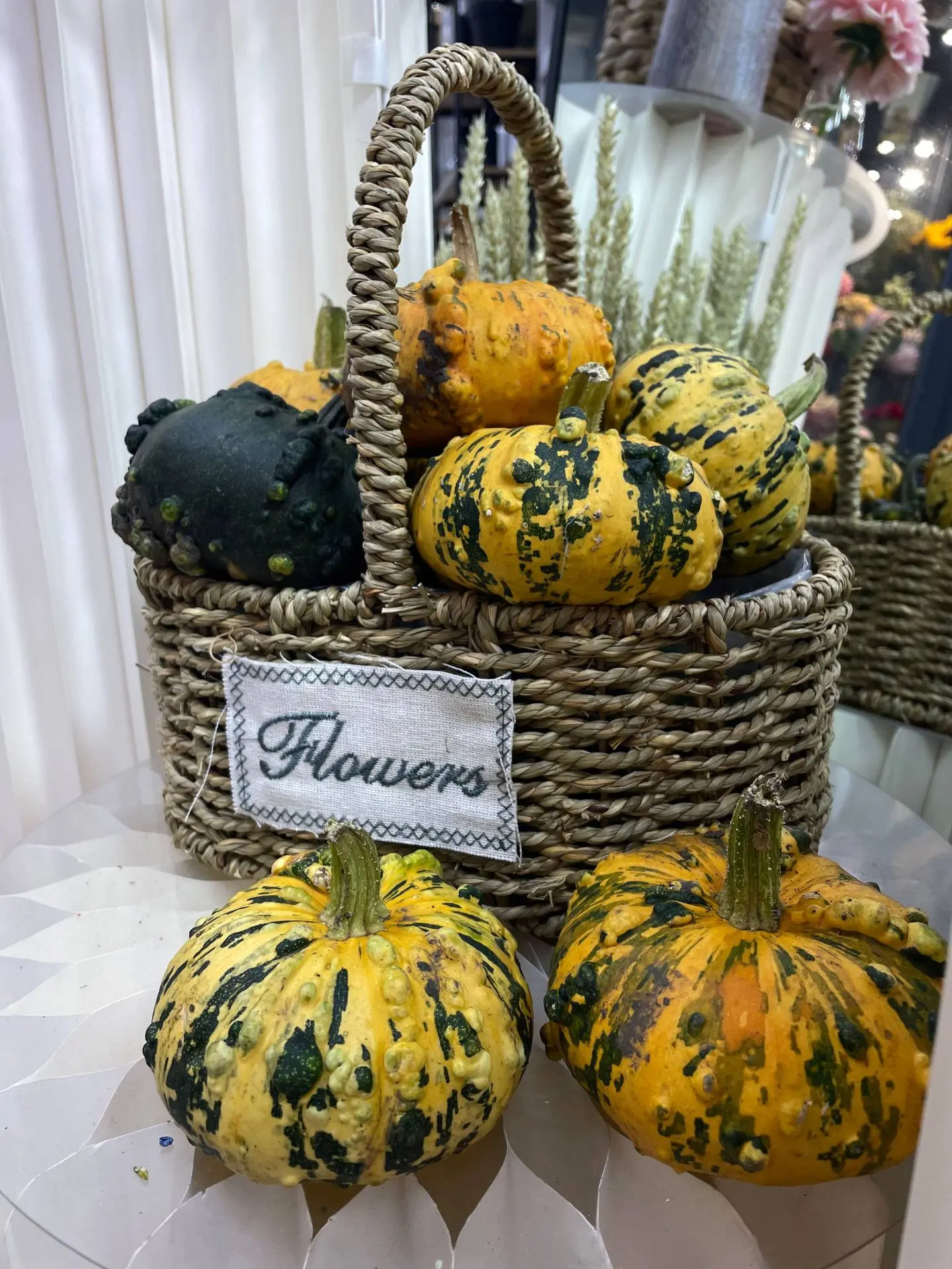 в наличии очень красивые декоративные мини тыквы 🎃