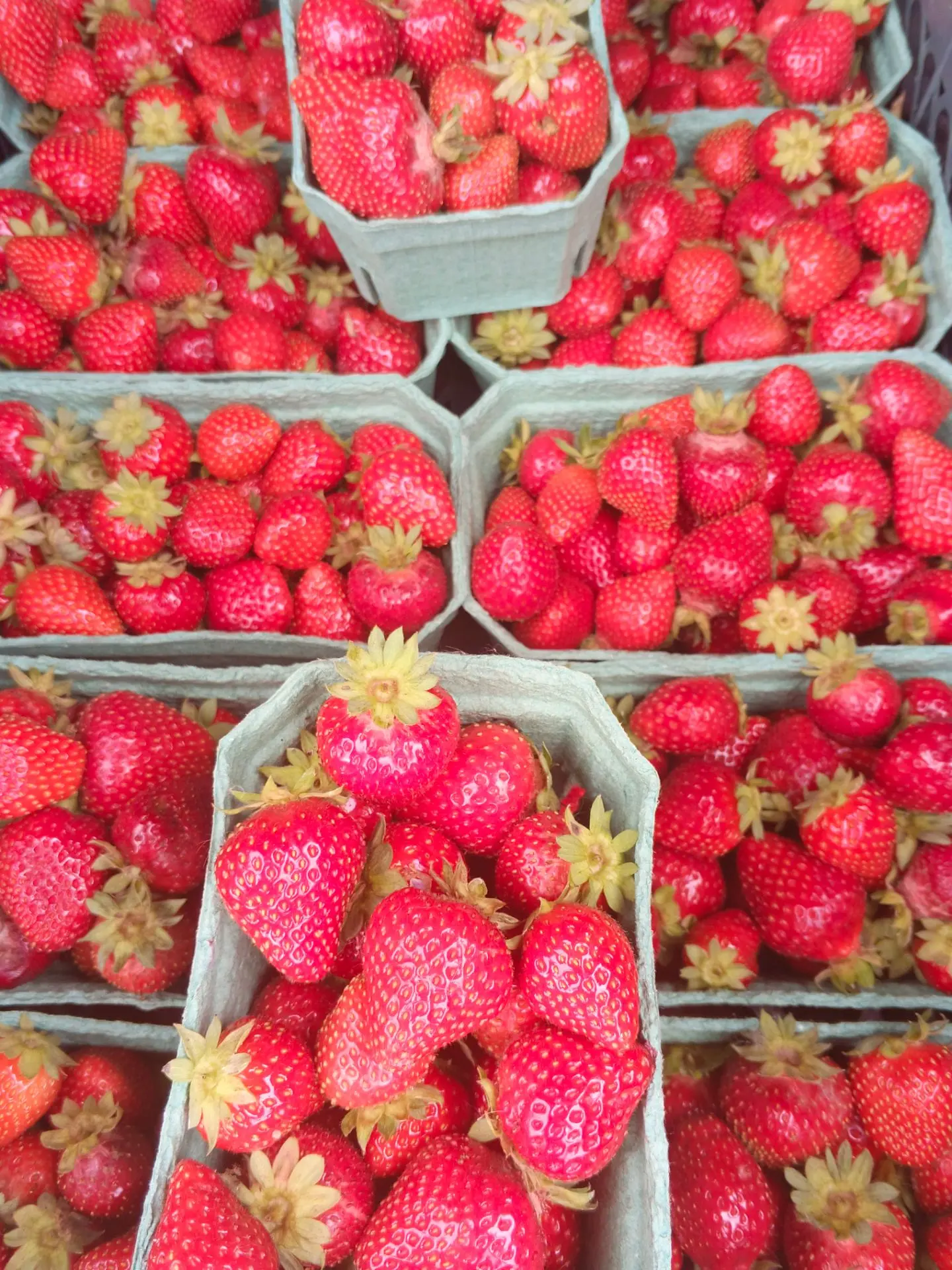 🍓 АКЦИЯ НА САМОСБОР КЛУБНИКИ!