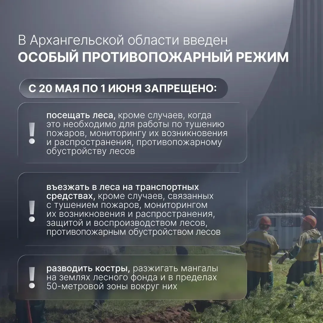 В этом году в Архангельской области раньше обычного установилась сухая и жаркая погода....