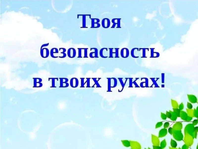 📌Будни школьного лагеря.