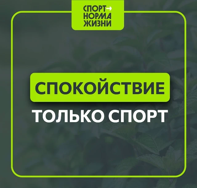 Спокойствие, только спорт: Как физическая активность лечит тревожность 😌

Коротко о главном враге —