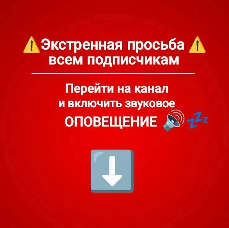 ‼️Экстренная просьба всем подписчикам нашего канала.