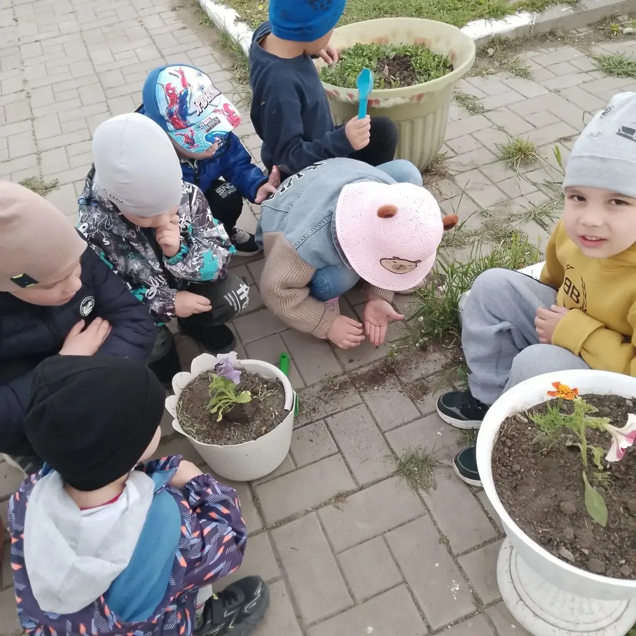 На прогулке дети гр «Звоночки» высаживали цветы в клумбы! Знакомились с жизненным цикло...