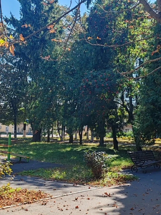 Прекрасный день сегодня ❤️