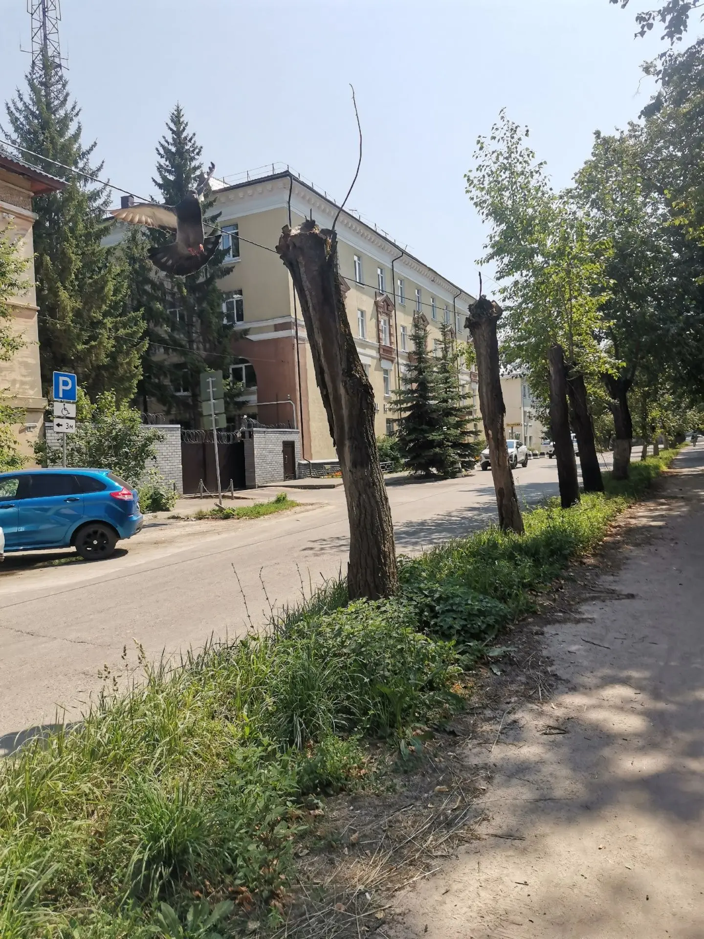 Улица Гастелло теперь выглядит так.