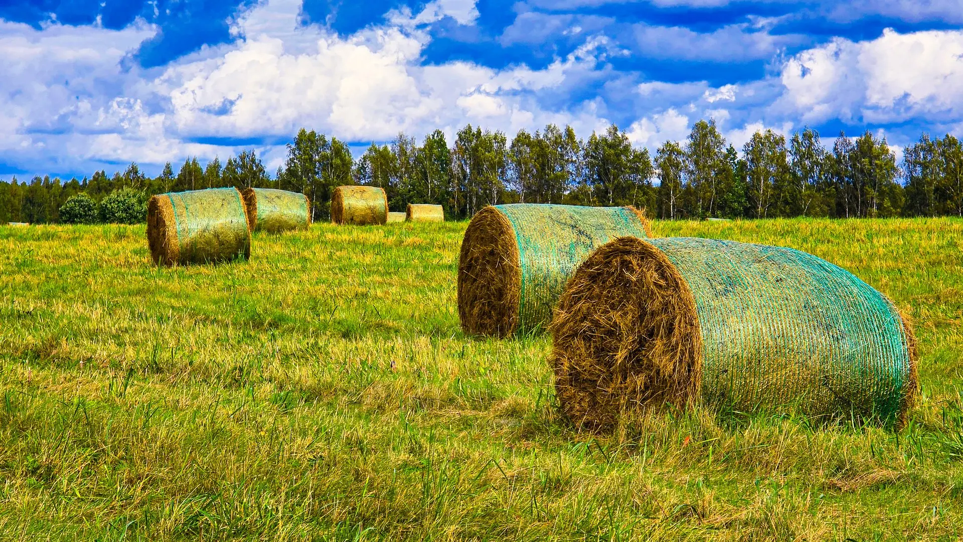 🚜 Сельскохозяйственный тетрис. Рулоны сена 2026 г.