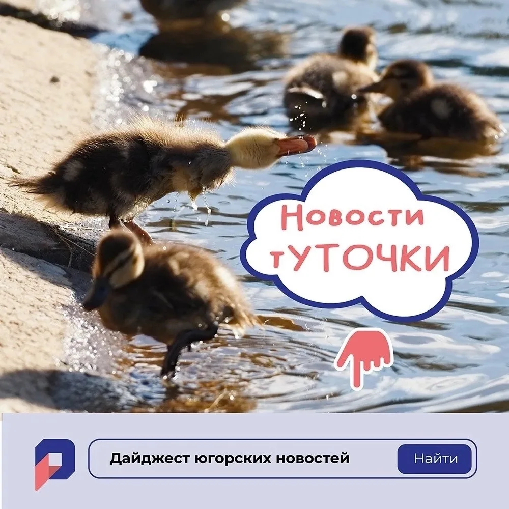 Будьте в курсе событий! 👀

Мы подготовили дайджест новостей из жизни Югры:

❤ Научную работу врача 