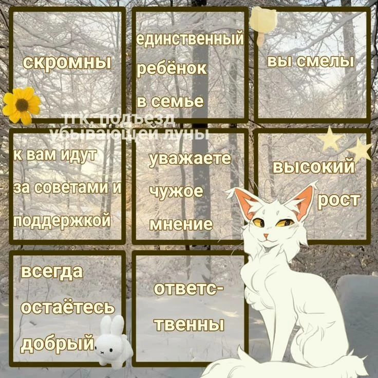𝆹𝅥𝆹𝅥🪷звездная астра💫𝆹𝅥𝆹𝅥