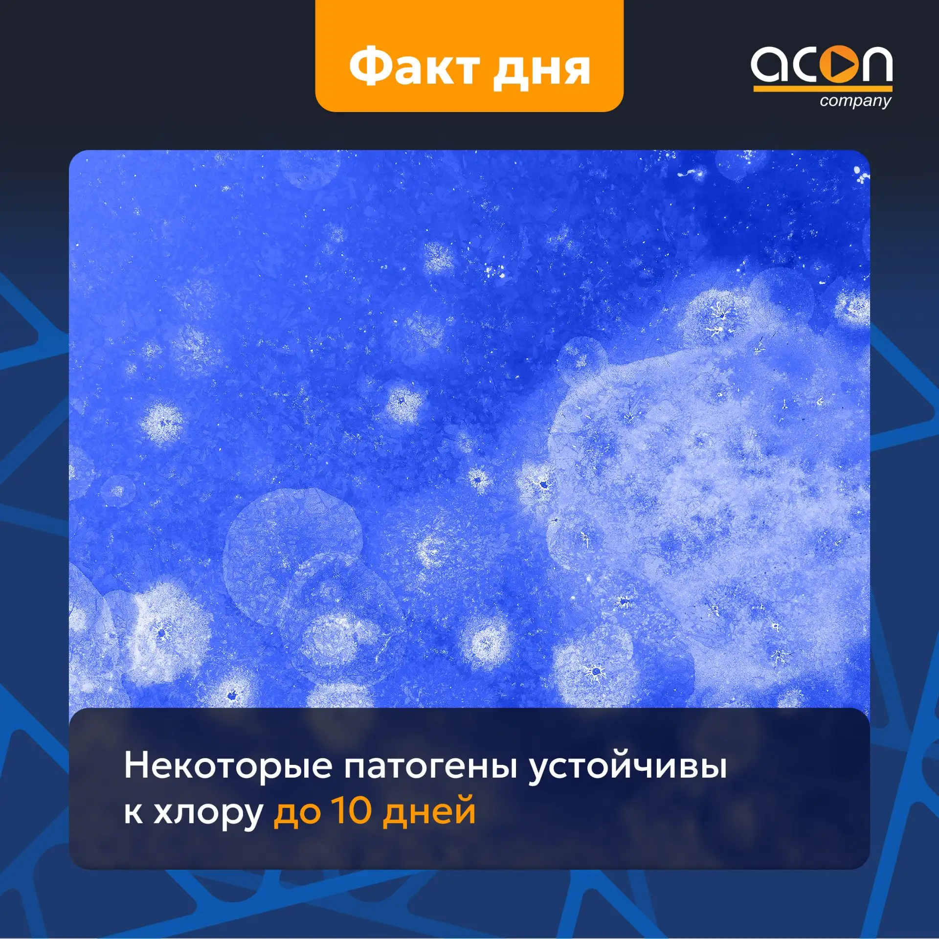🔵 Не все патогены одинаково чувствительны к хлору.

В профессиональной среде часто можно услышать, 