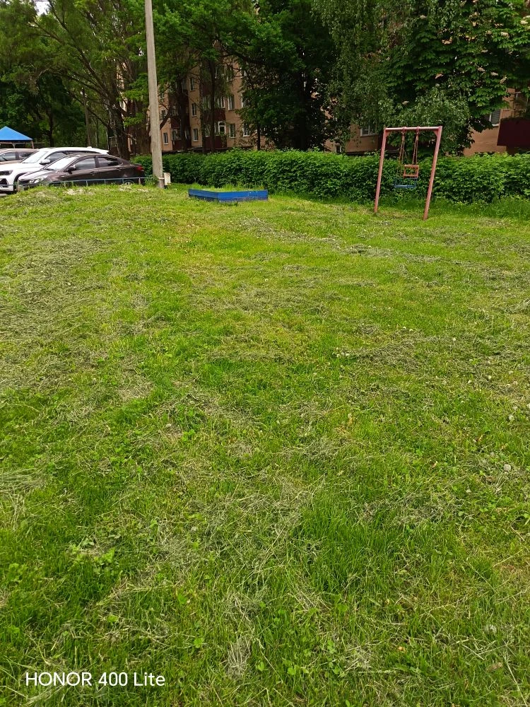 Комарова 8б покос травы