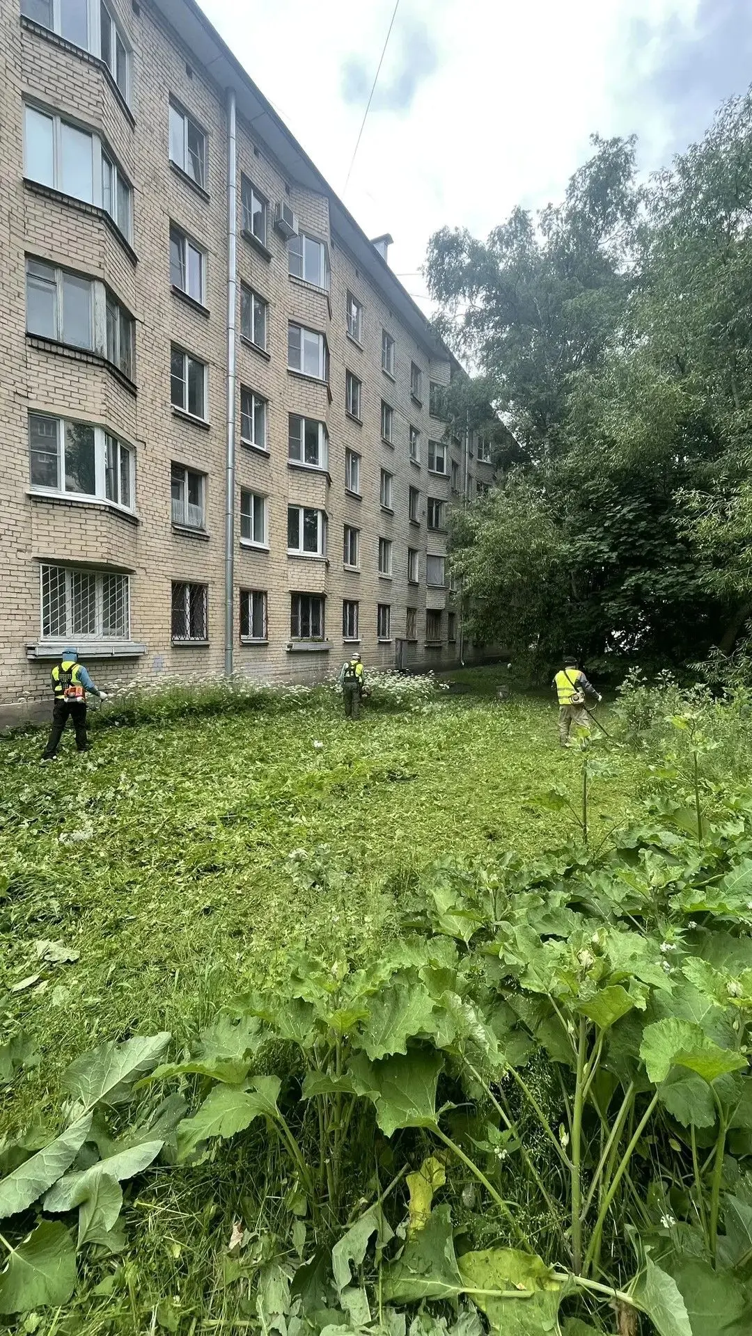 УВАЖАЕМЫЕ ЖИТЕЛИ МУНИЦИПАЛЬНОГО ОБРАЗОВАНИЯ ГАВАНЬ!     🌿                                          