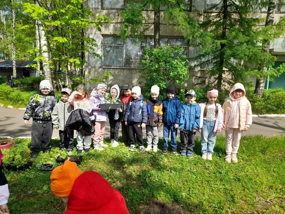 Трудовой десант в ДО «Рябинка». Посадили огород, посмотрите, что растет? В процессе трудового десант