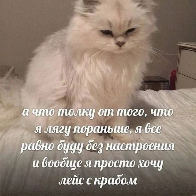 @memachh