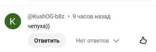 Самый лаконичный комментарий под недавним видео) Но что именно автор считает чепухой, о...