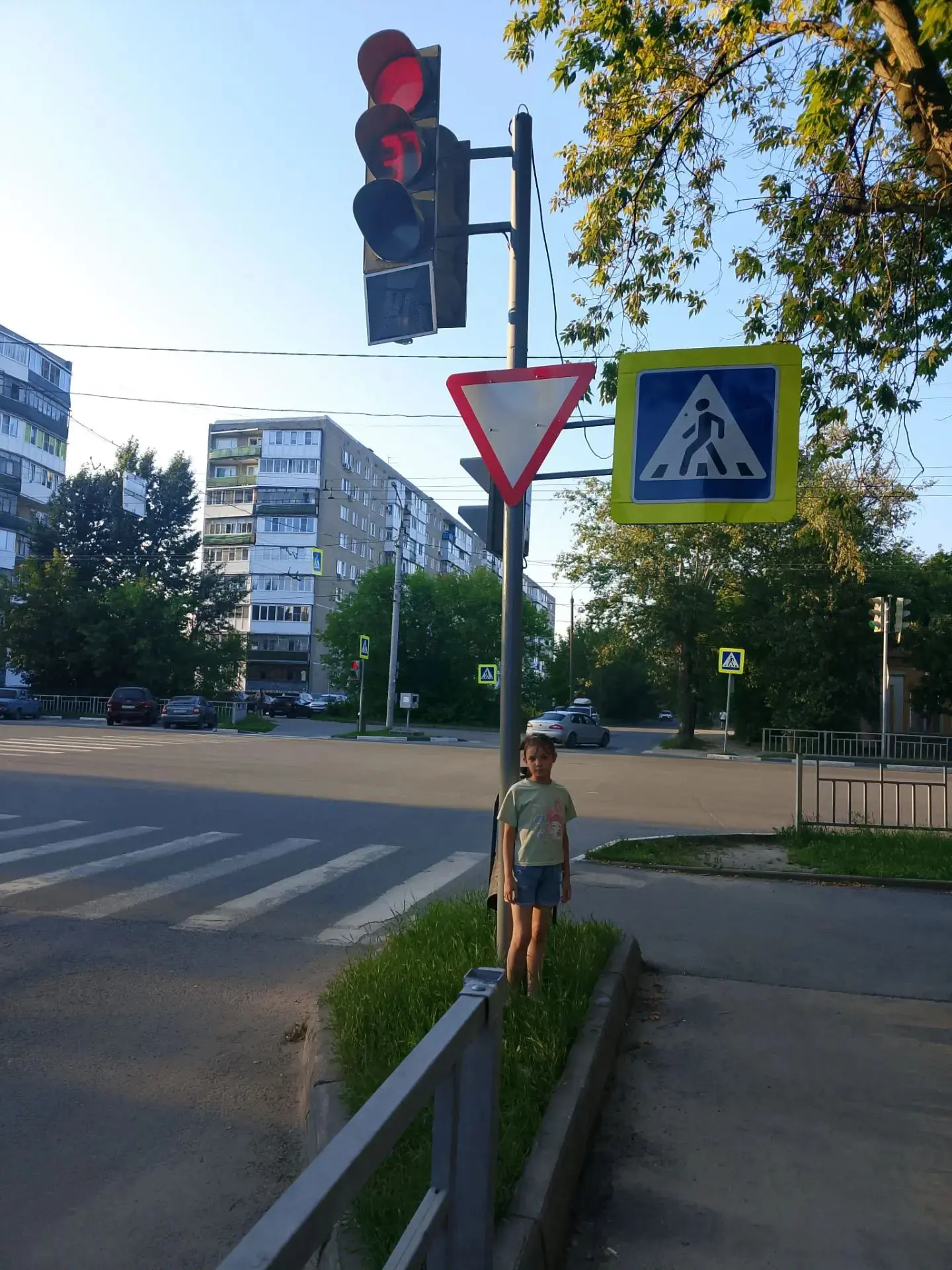 🚦 Фоточеллендж ко Дню светофора