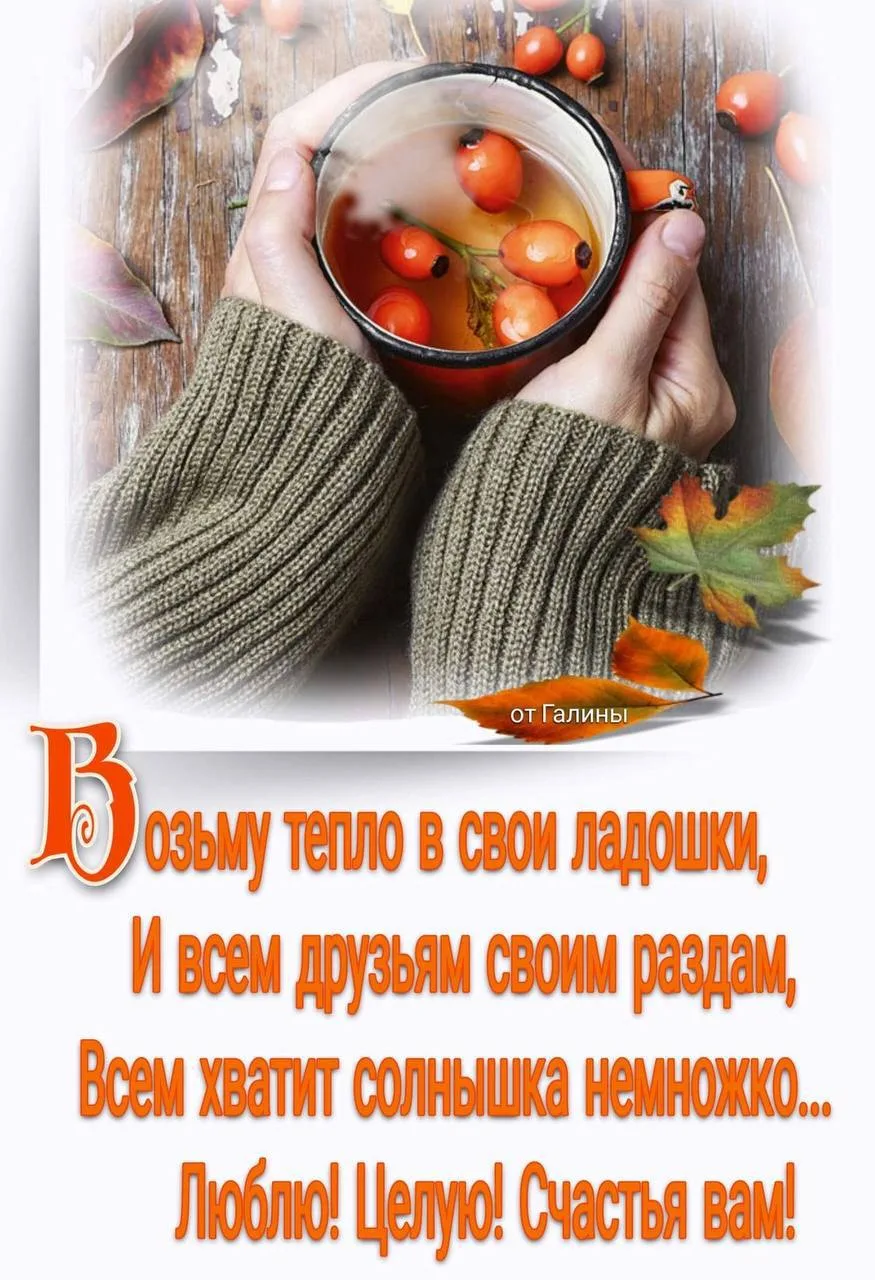 Понравилась открытка? Оставьте, пожалуйста, реакцию 🩷