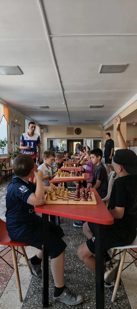 ‎♟️ Магия интеллектуальных баталий в «Лесной опушке»!