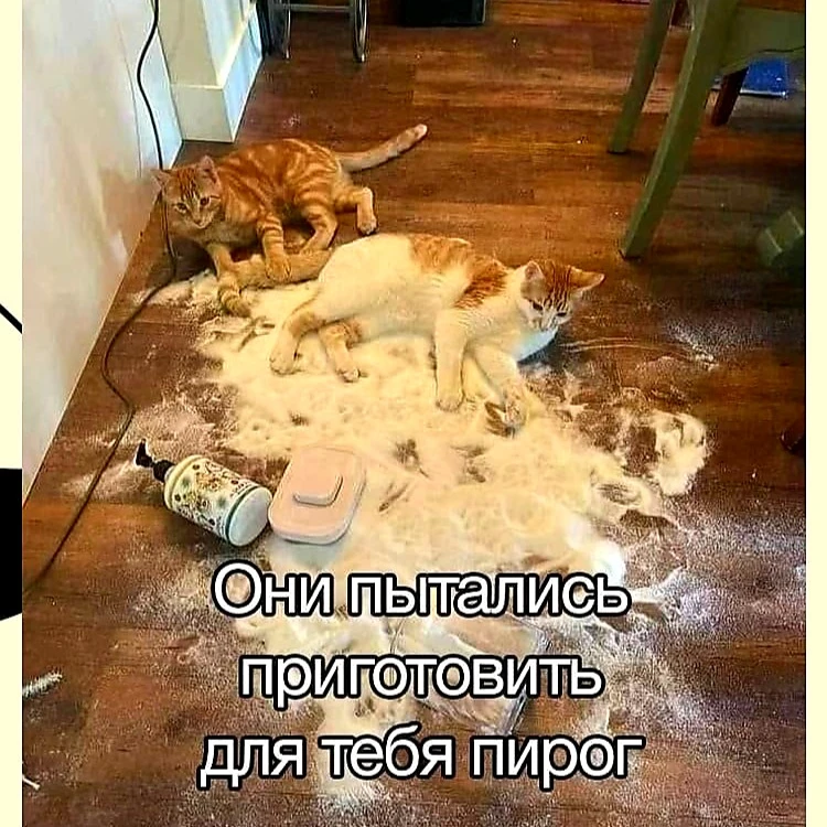 С праздником всех девочек, девушек, женщин.💐 Цветов, внимания, комплиментов, весенних ...