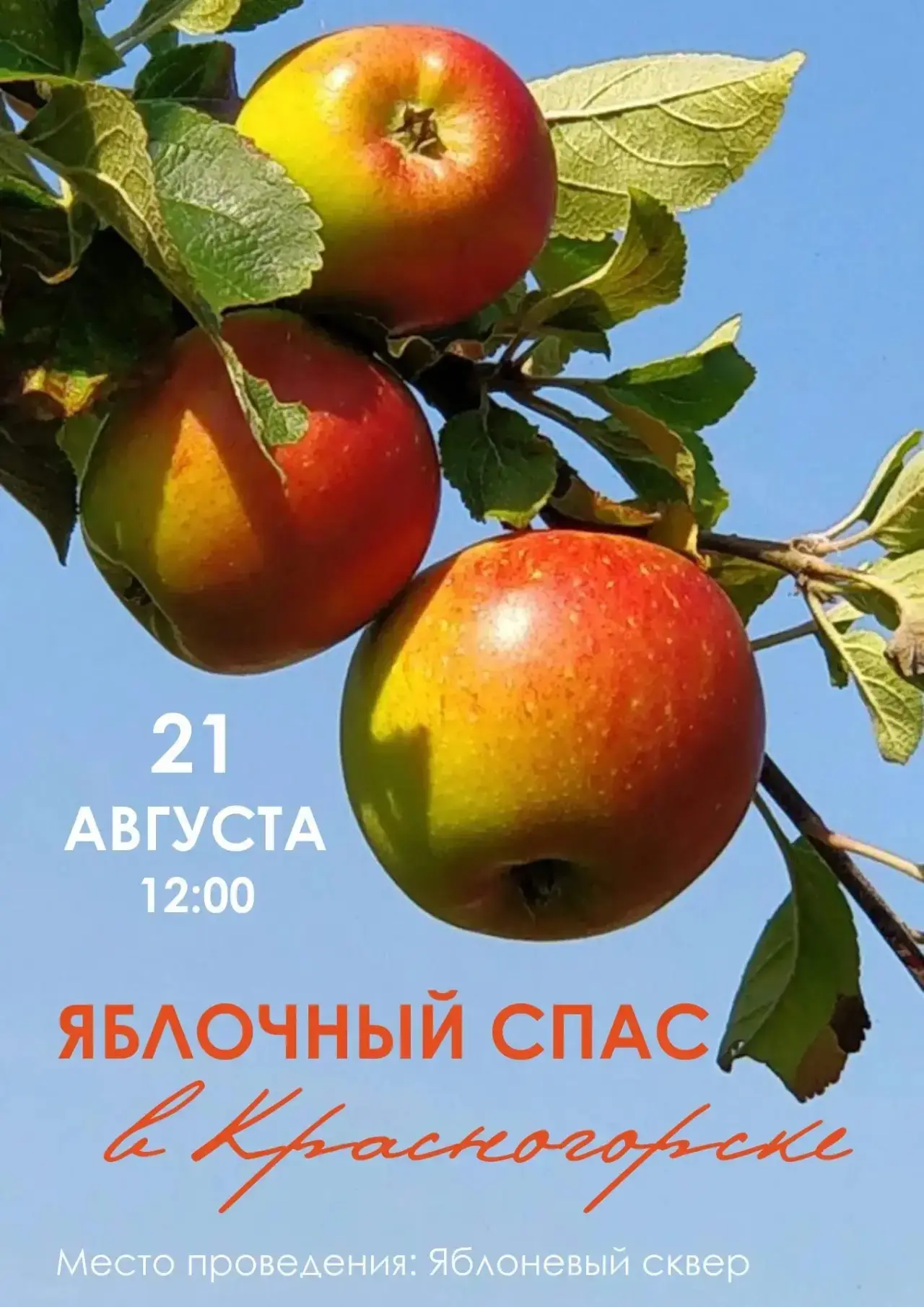 ПРАЗДНИК «ЯБЛОЧНЫЙ СПАС» В КРАСНОГОРСКЕ! 🎉