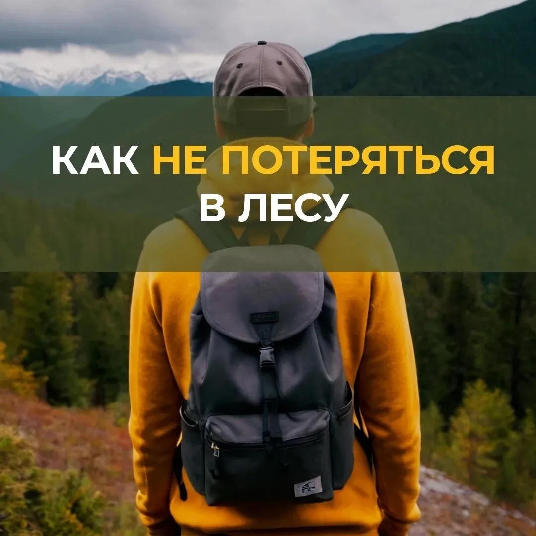 🌲 Лето — время звать друзей в поход! Но даже в самом родном лесу важно помнить — природа любит подг