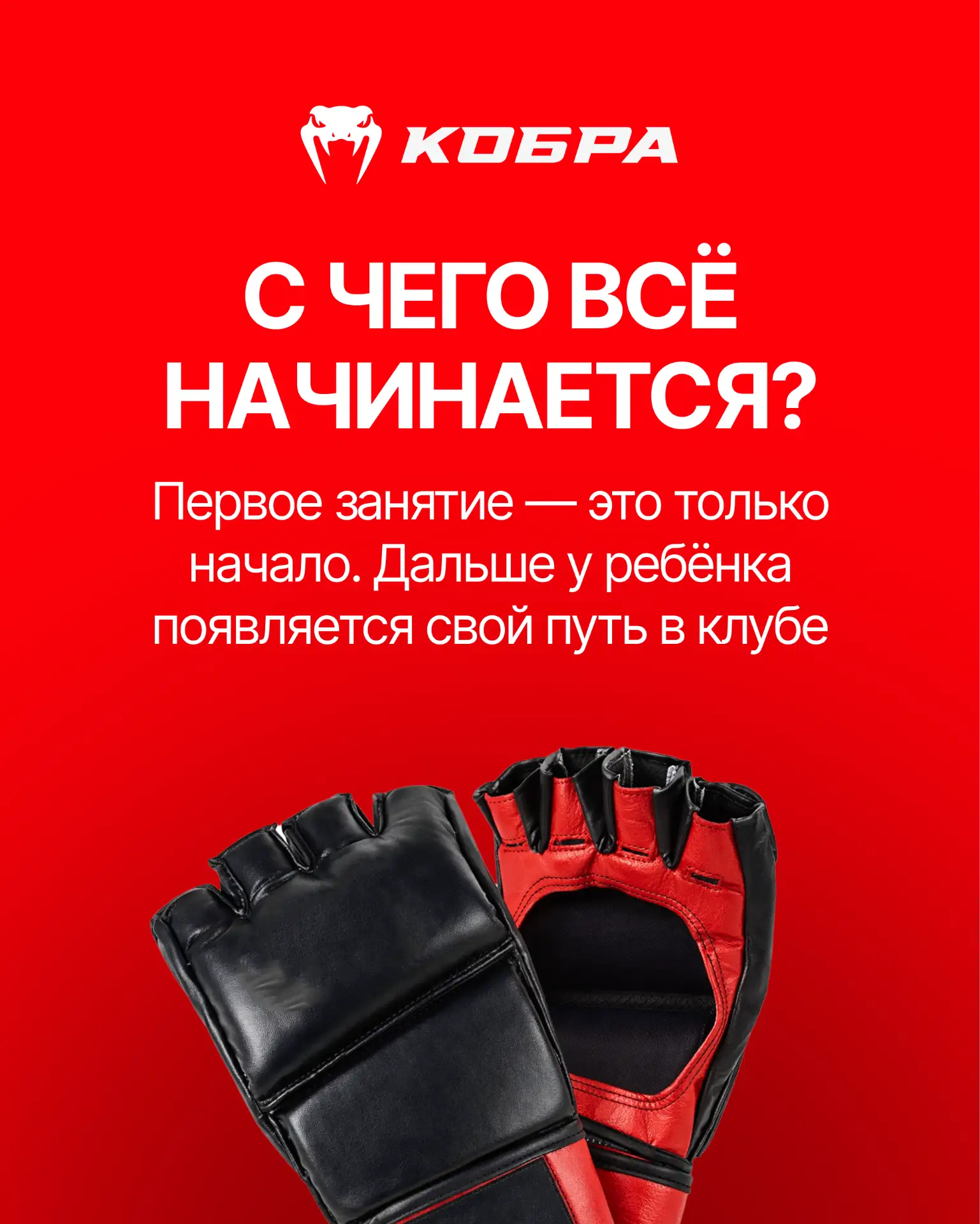 🥊 С ЧЕГО ВСЁ НАЧИНАЕТСЯ?
