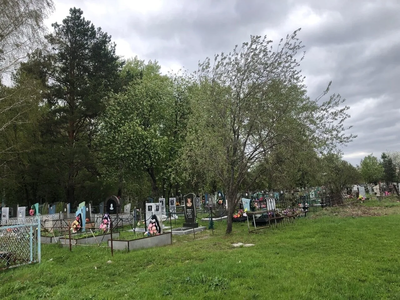 На кладбище Нижней Салды обнаружили следы медведя