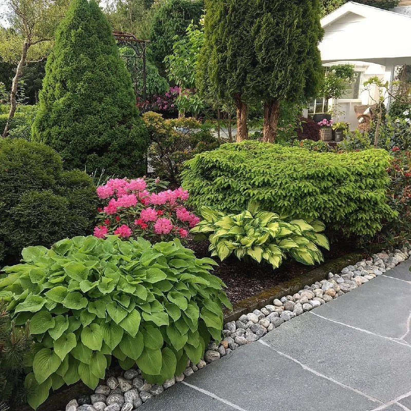 Зелёная композиция 🌿