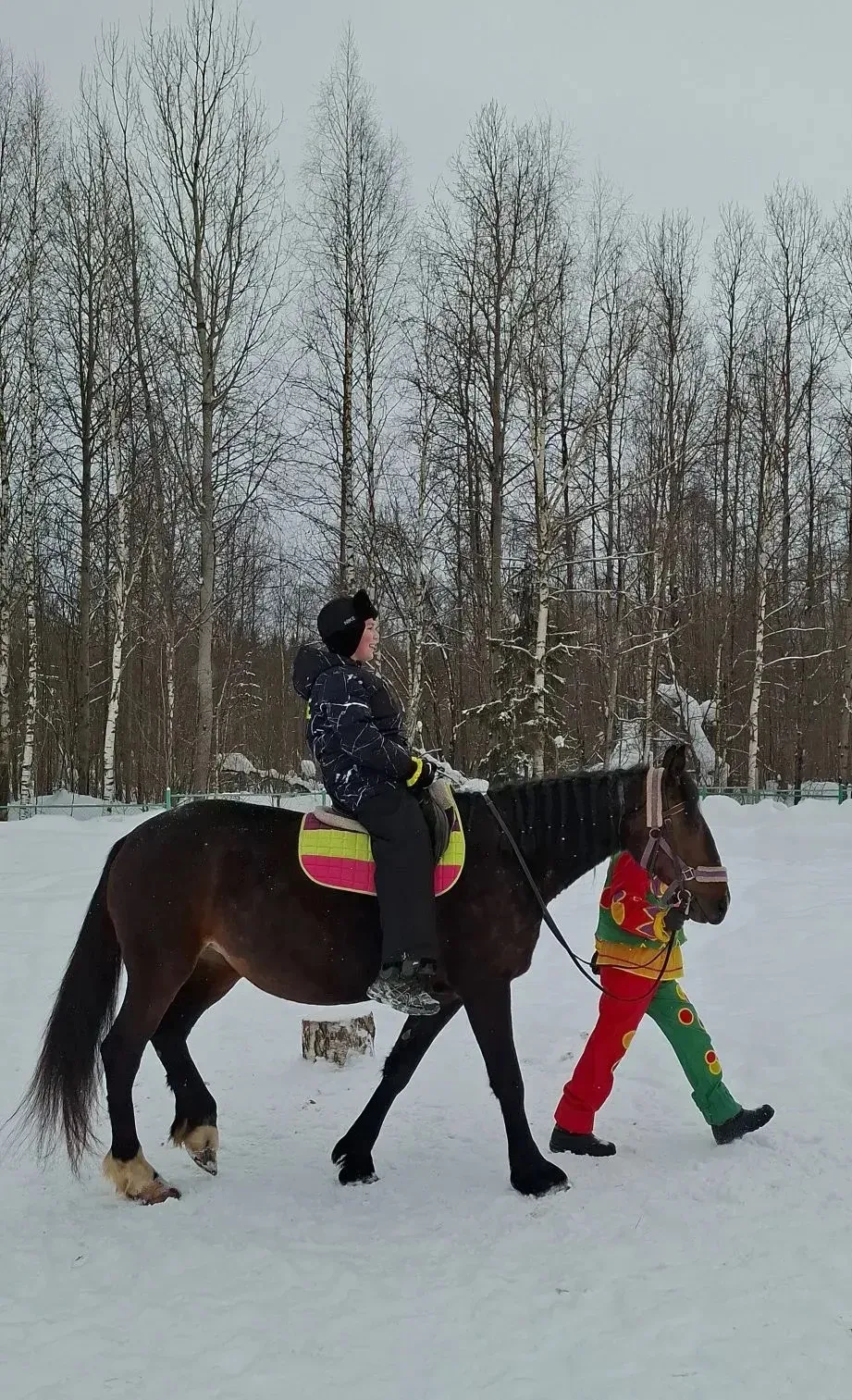 🐴 03 марта ученики 6Д класса (классный руководитель Возжаева О.Л.) отправились в увлекательное путеш