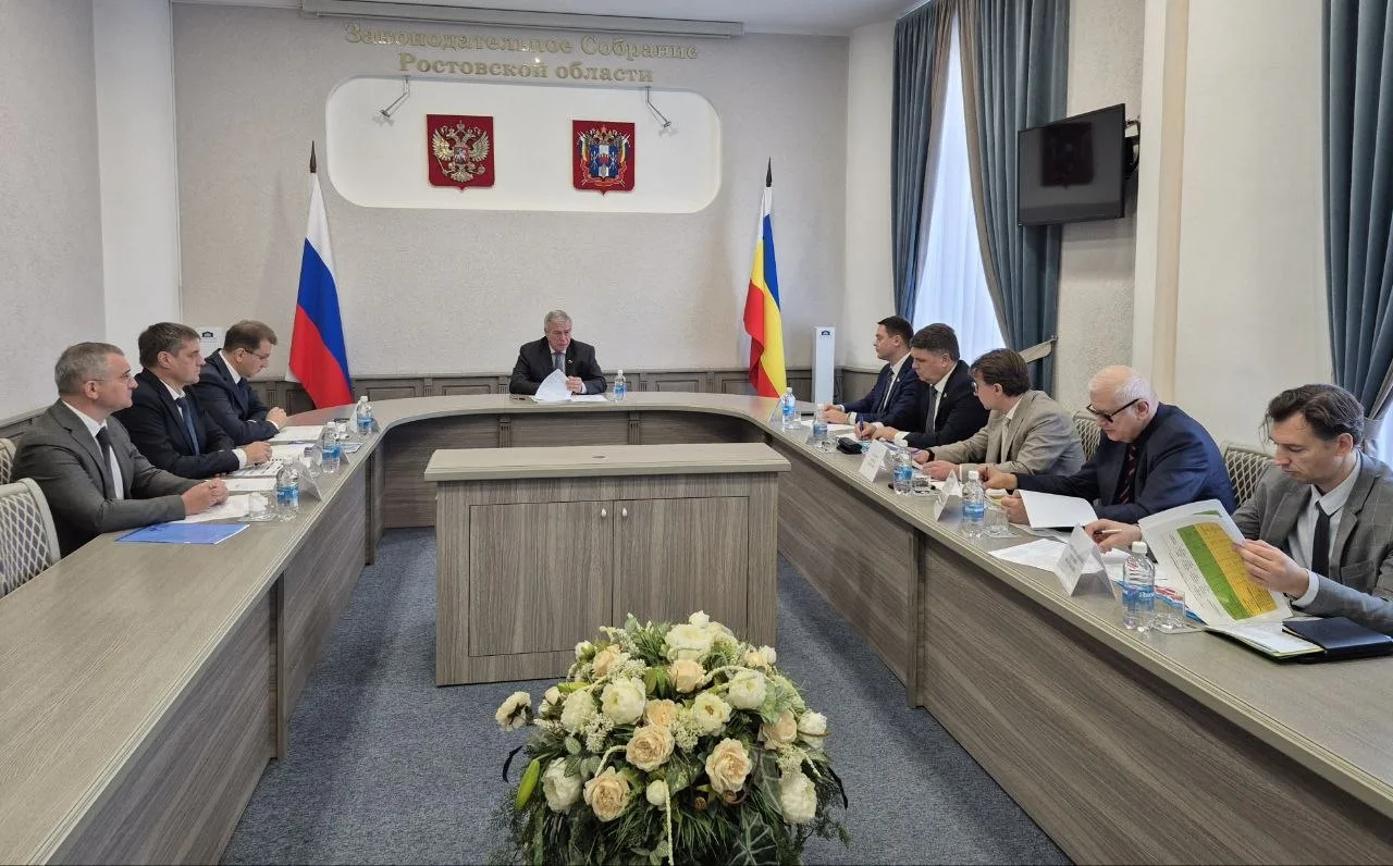 Пока Юрий Борисович был в Москве, в Ростов под шумок приехал прошлый горе-губернатор, г...