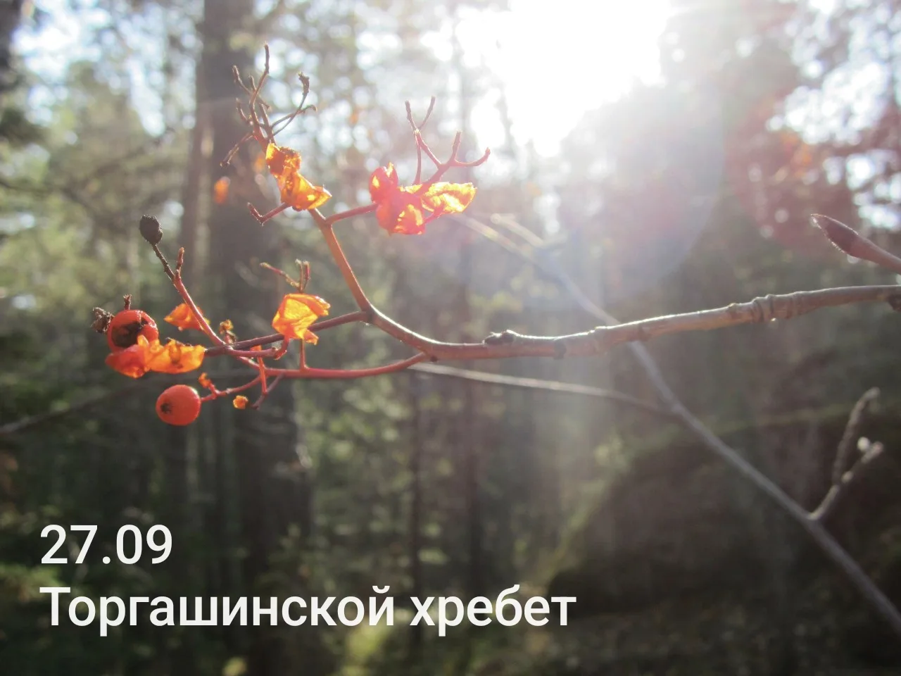 В это воскресенье (27.09) состоится наш первый выход по Торгашинскому хребту.