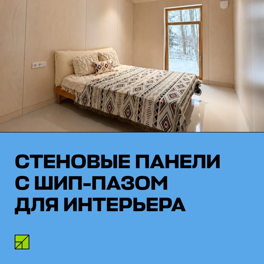 Петербургское предприятие разработало новый продукт — стеновые панели из берёзовой фане...