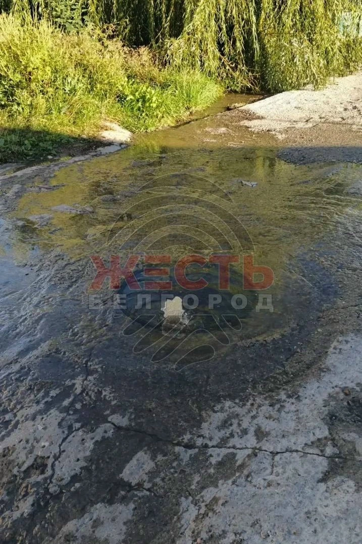 🛠 Коммунальная авария на улице Есенина омрачила жизнь белгородцев