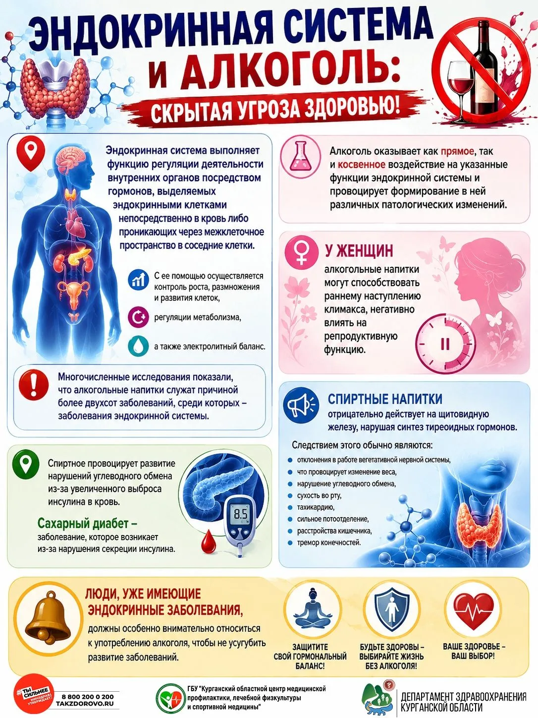Эндокринная система выполняет функцию регуляции деятельности внутренних органов посредс...