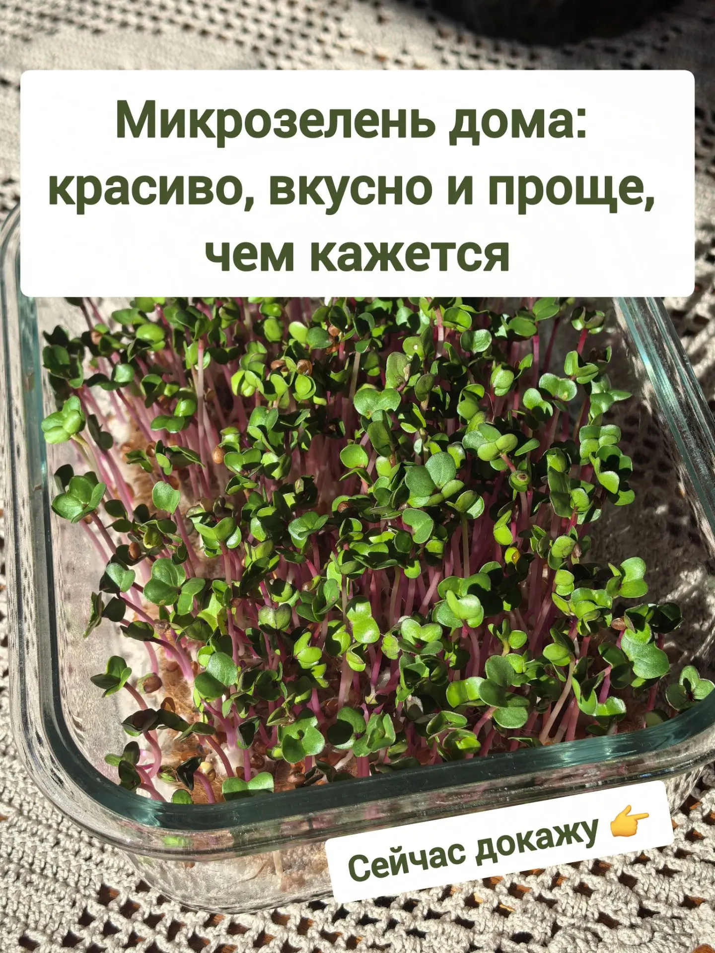 🌱 Хочется свежей зелени дома, но без дачи, земли и сложного ухода?