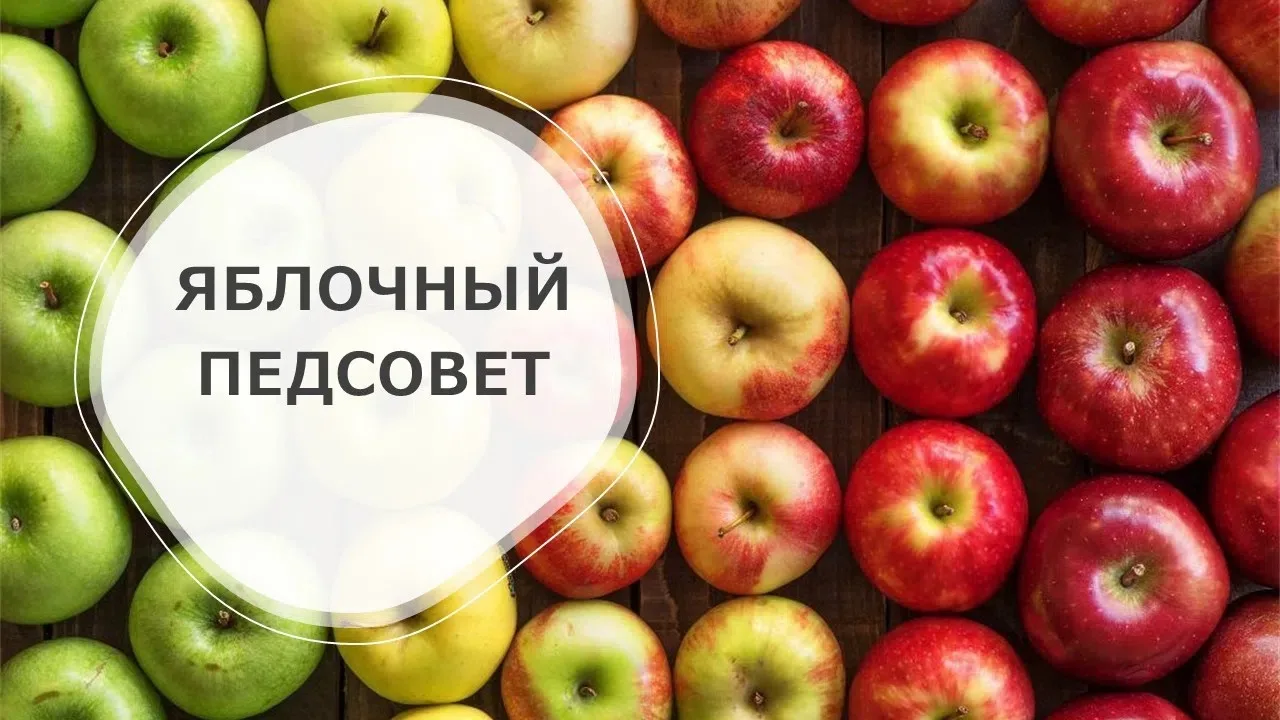 «Яблочный педсовет»: собираем урожай идей! 🍎
