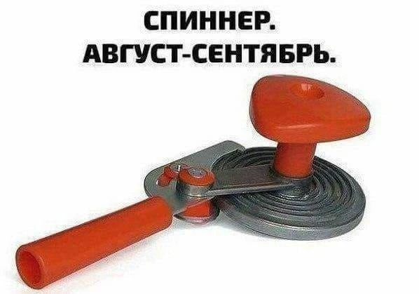 Ежик