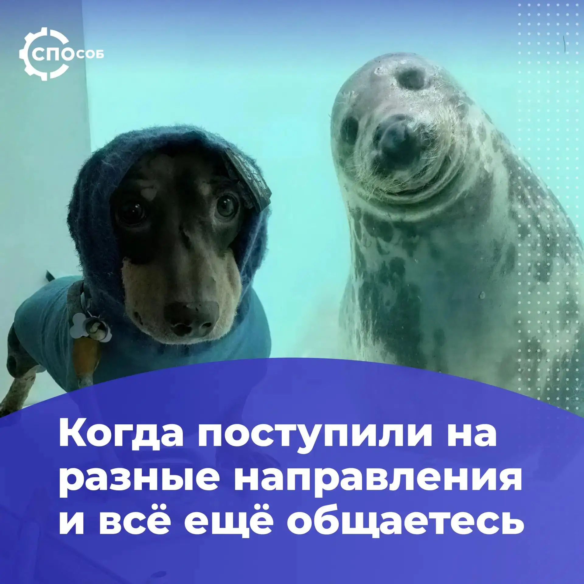 ☝ Зачисленные в колледжи, уже пора настраиваться на учебу!