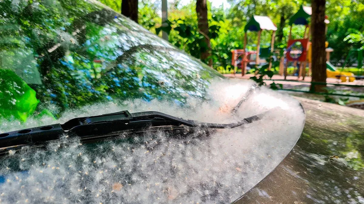 Тополиный пух может вывести автомобиль из строя