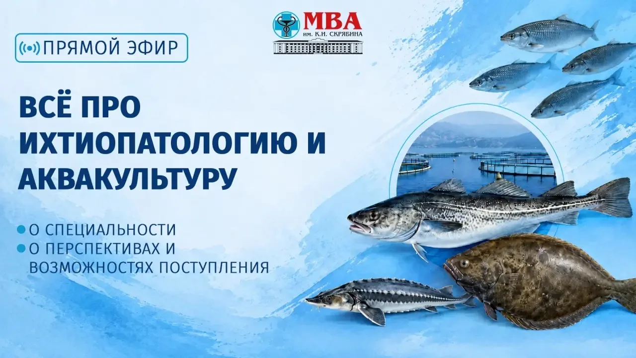 🐟 Рыба в реке и рыба на прилавке живут совсем разной жизнью

К Всемирному дню рыболовства поговорим
