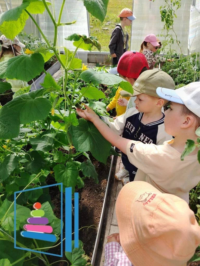 🌱 Трудовое воспитание в теплице: маленькие шаги к большому успеху! 🌱
Сегодня хотим поделиться с ва