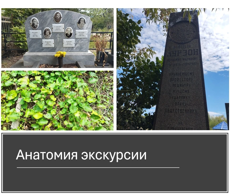 Вам не нужен автобус, аудиогид и три часа. Вам нужен тротуар, 10 минут ходьбы и три точ...