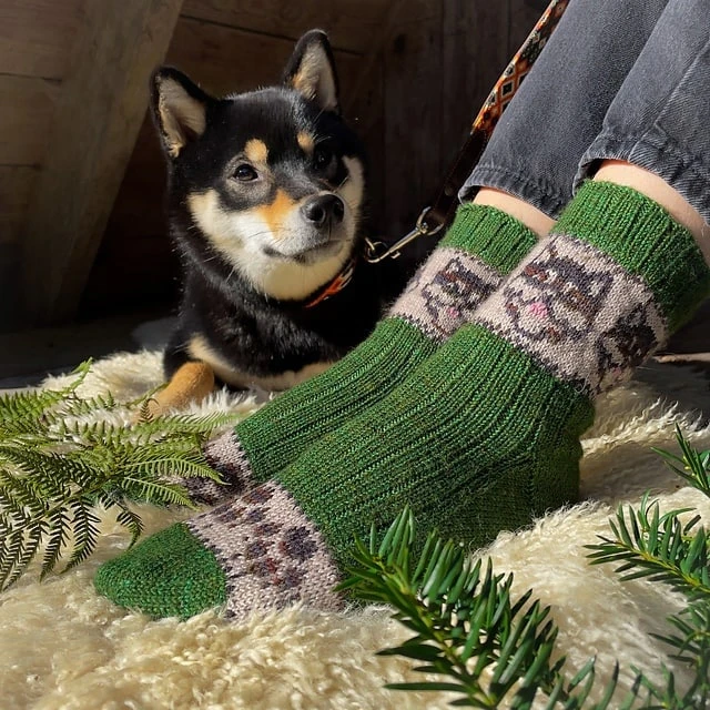 Носочки Dog Walk by Stone Knits